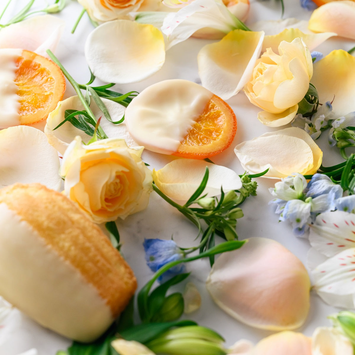 【White Day Only】Valencia Blanche (10 pieces)