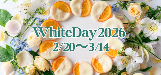 WhiteDay2026  2/20(金)より販売スタート