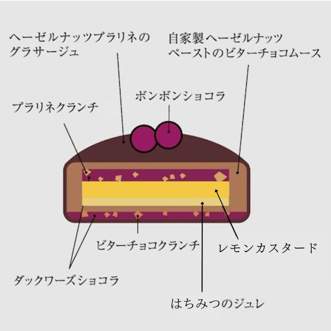 【冷凍配 送数量限定 Xmasケーキ】2024ノエルショコラ NOELCHOCOLAT 5号