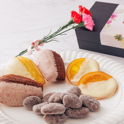 【Spring Limited】SPRING　SET　S