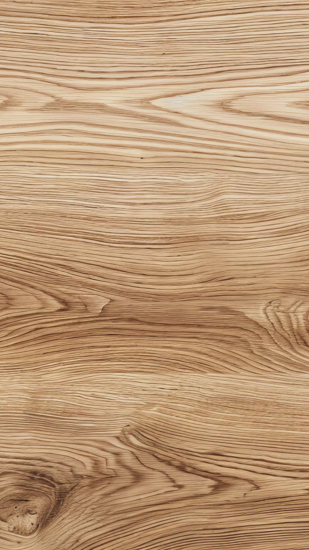 動画を読み込む: 